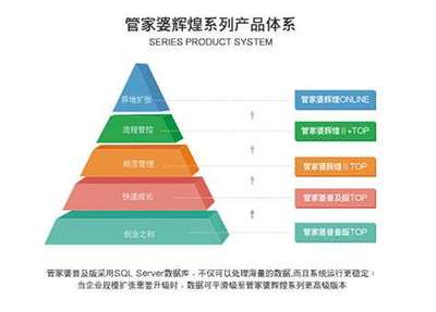 管家婆軟件 驅(qū)動企業(yè)管理的數(shù)字化變革引擎