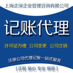 華新代理記賬 華新財務(wù)公司 華新公司注冊代理 華新記賬公司