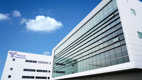 2019上海區(qū)域經濟觀察 新舊動能轉換關鍵期,新興產業(yè)步入 起飛通道